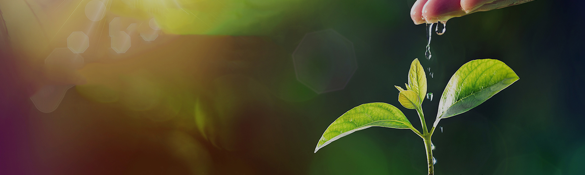 Ӽ(galaxy)ٷվ-Mobile Application Center